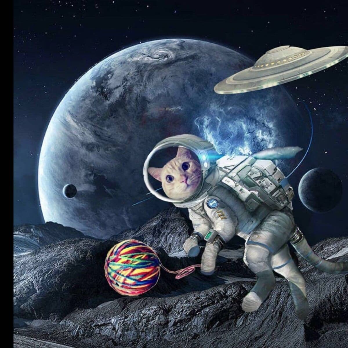 How to Master Multivariable Differentiation